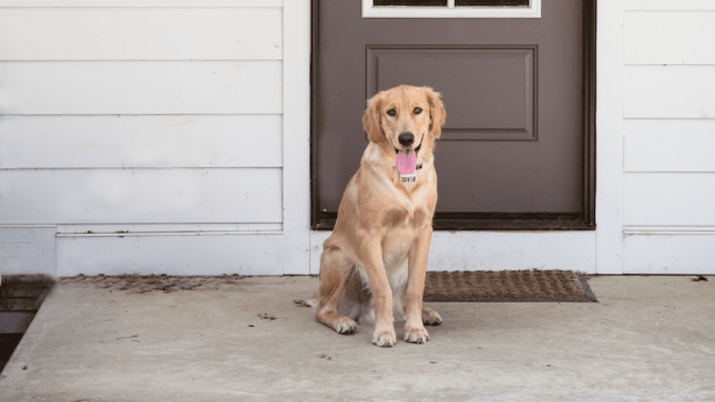 unsplash_TRCJ-87Yoh0